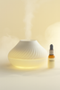 Humidifier & Diffuser