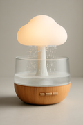 CloudMist Humidifier